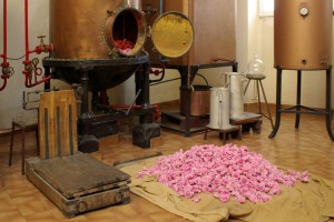 Die Weltstadt des Parfums liegt in der Provence. In Grasse stellen berühmte Parfümerien heute noch aus Blüten Parfumkreationen her.