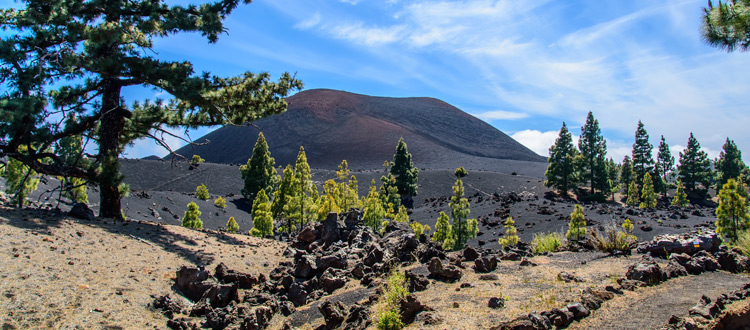 Teneriffa abseits des Tourismus erleben