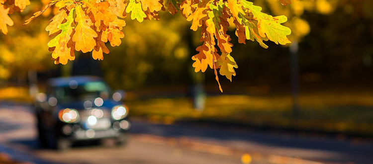 Faktencheck: Was deutschen Autofahrern im Ausland schon mal passiert ist