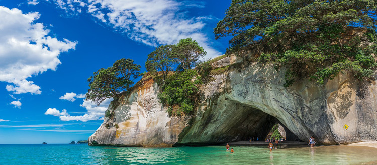 Einen Baum pflanzen in Neuseeland