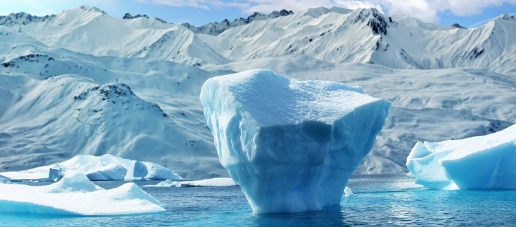 Ewiges Eis, Dschungel und Vulkane – Expeditionskreuzfahrten boomen auf hohem Niveau