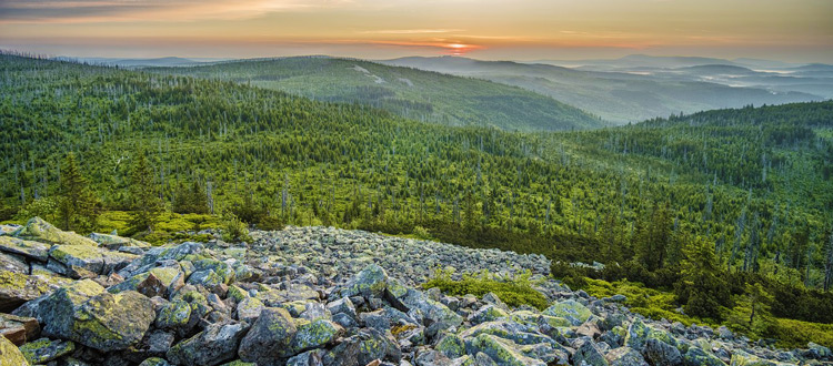 Goldsteig: Grenzenlos wandern auf dem Grünen Dach Europas