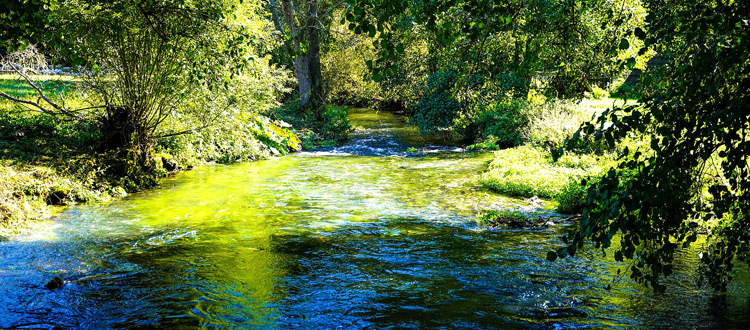 Auf Entdeckertour entlang der Vils – Flussradeln, Kanufahren und Wandern in der Oberpfalz