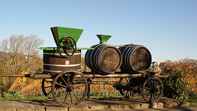 In vielen Regionen Südtirols wird der Wein noch nach altem Pressverfahren hergestellt.