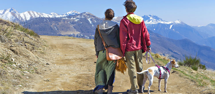 Vierbeiner auf Reisen – Das gilt es bei der Urlaubsplanung mit Hund zu beachten