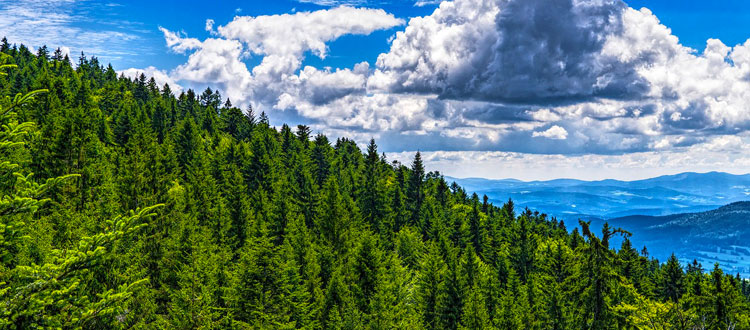 Nachhaltig reisen in den Bayerischen Wald – Urlaub auf dem „Grünen Dach Europas“