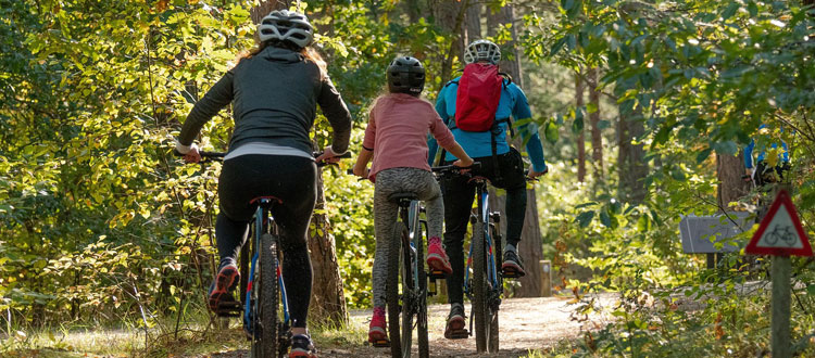 Radeln mit Kids – aber sicher – ARAG Experten geben Tipps für das Radfahren mit Kindern