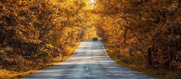 Herbstliche Raodtrips: Mit dem Auto in die Ferien – ARAG Experten mit Tipps zur Autoreise im Herbst